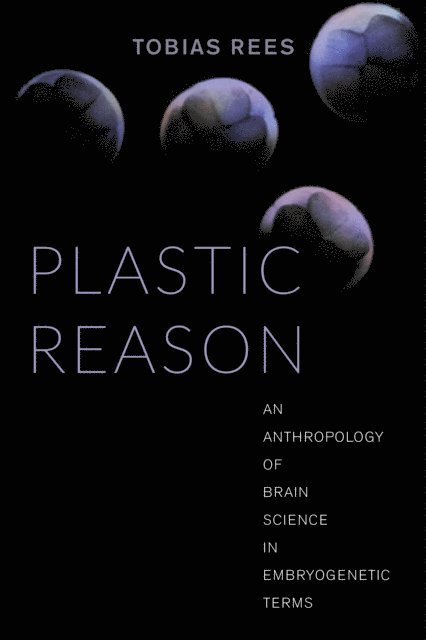 Tobias Rees - Plastic Reason, E-bok