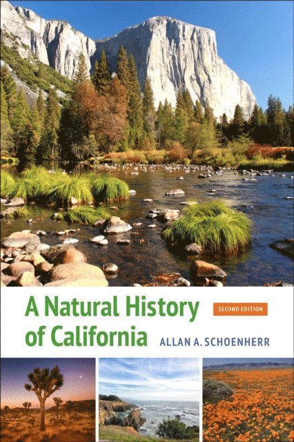 Allan A. Schoenherr - Natural History of California, E-bok