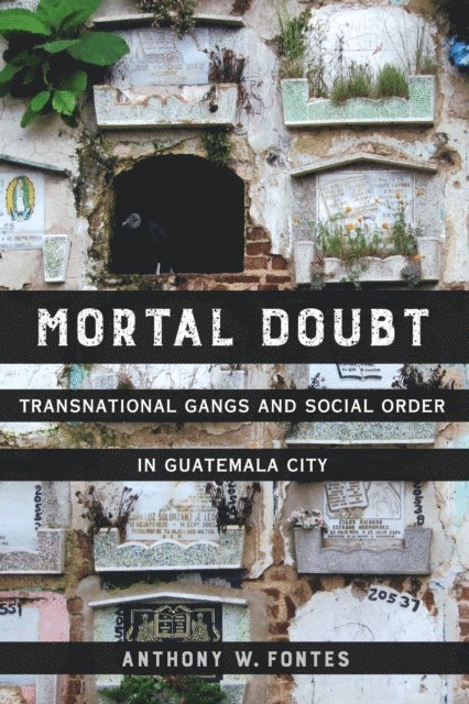Anthony W. Fontes - Mortal Doubt, E-bok
