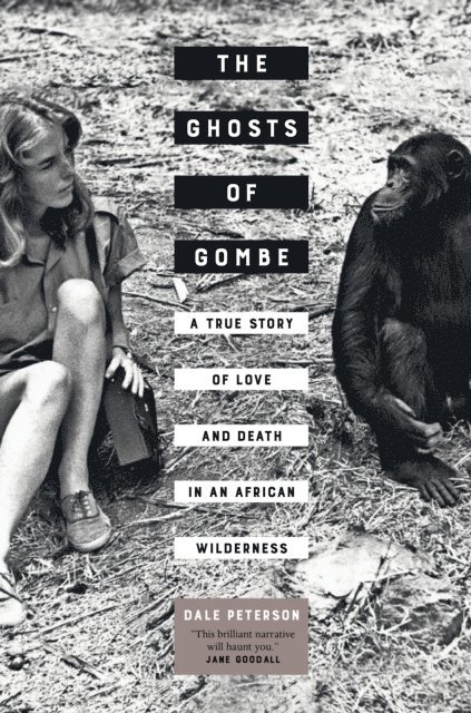 Dale Peterson - Ghosts of Gombe, E-bok