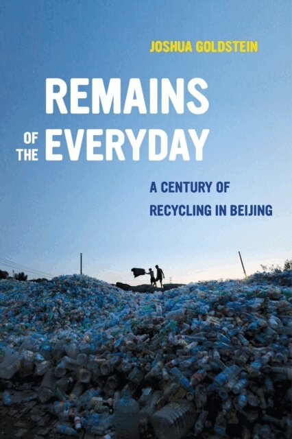 Joshua Goldstein - Remains of the Everyday, E-bok