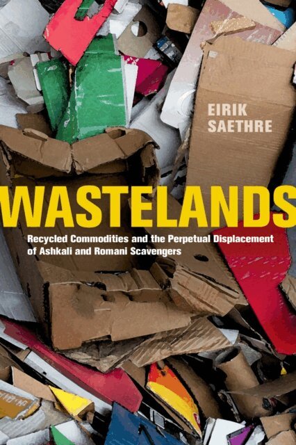 Eirik Saethre - Wastelands, E-bok