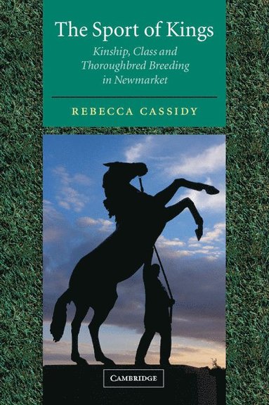 The Sport of Kings av Rebecca Cassidy, Rebecca Cassidy