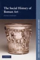 The Social History of Roman Art