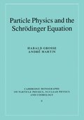 Particle Physics and the Schrdinger Equation