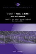 Conflict of Norms in Public International Law