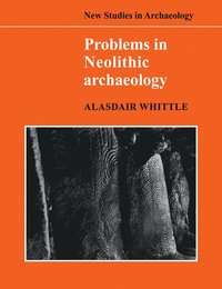 Problems in Neolithic Archaeology