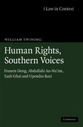 Human Rights, Southern Voices