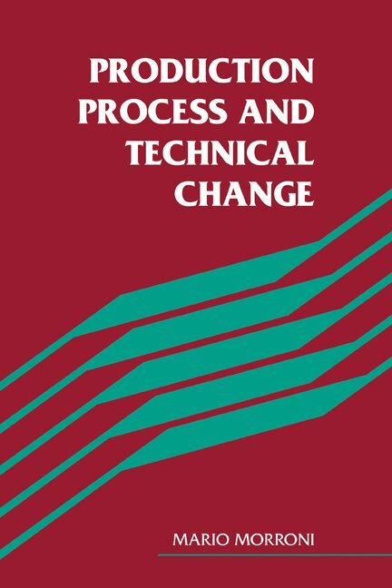 Mario Morroni - Production Process and Technical Change, Häftad