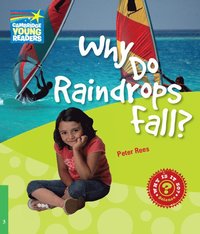 Why Do Raindrops Fall? Level 3 Factbook