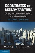 Economics of Agglomeration