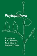Phytophthora