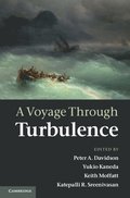 A Voyage Through Turbulence