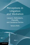 Perceptions in Litigation and Mediation