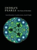 Indra's Pearls