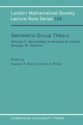 Geometric Group Theory: Volume 2