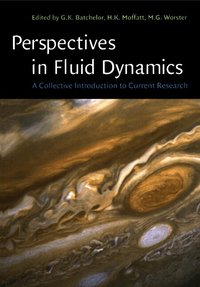 Perspectives in Fluid Dynamics