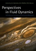 Perspectives in Fluid Dynamics