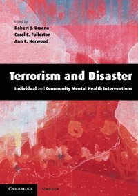 Terrorism and Disaster Paperback
