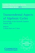 Transcendental Aspects of Algebraic Cycles