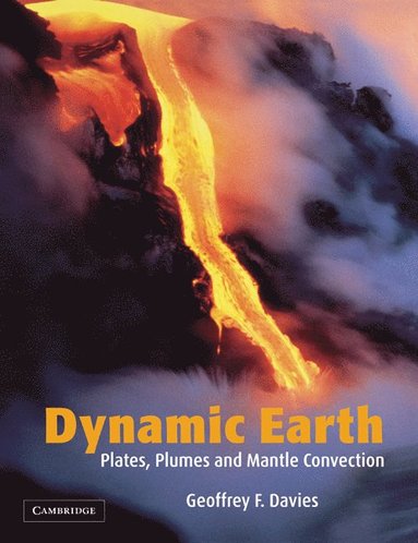 Dynamic Earth av Geoffrey F Davies, G F Davies, Geoffrey F Davies