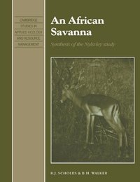 An African Savanna