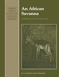 An African Savanna