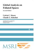 Global Analysis on Foliated Spaces