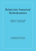 Relativistic Numerical Hydrodynamics