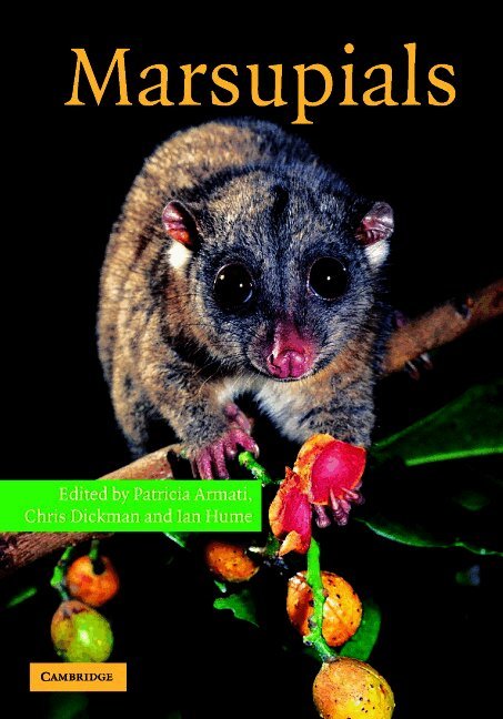Patricia J. Armati, Chris R. Dickman, Ian D. Hume - Marsupials, Inbunden