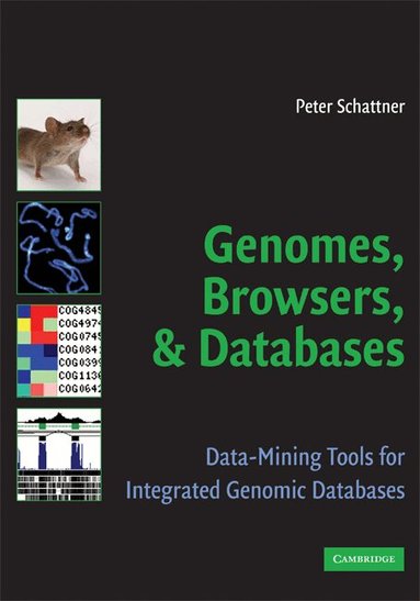 Genomes, Browsers and Databases by Peter Schattner, Peter Schattner