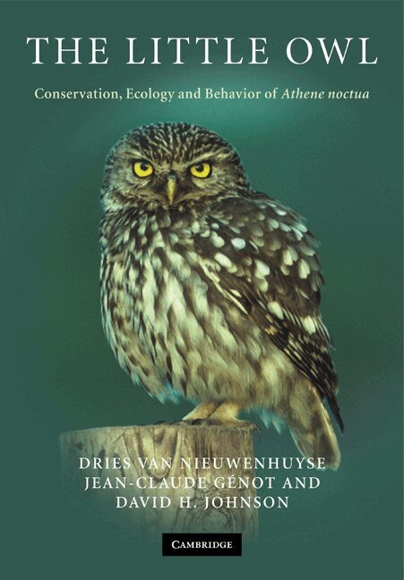 Dries Van Nieuwenhuyse, Jean-Claude Génot, David H. Johnson - The Little Owl, Häftad