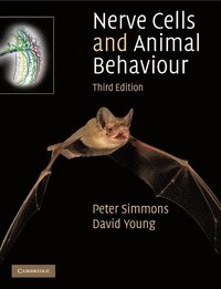 Nerve Cells and Animal Behaviour