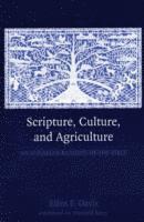 Scripture, Culture, and Agriculture