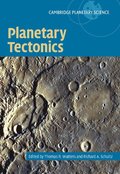 Planetary Tectonics