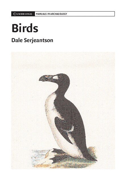 Dale Serjeantson - Birds, Häftad