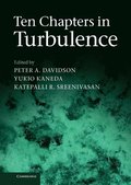 Ten Chapters in Turbulence