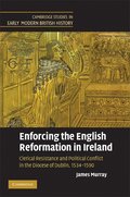 Enforcing the English Reformation in Ireland