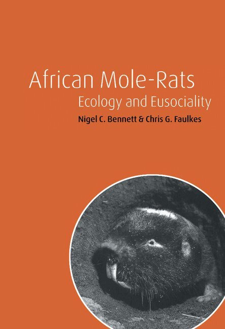 Nigel C. Bennett, Chris G. Faulkes - African Mole-Rats, Inbunden. Tillgänglighet: Lägg i varukorg