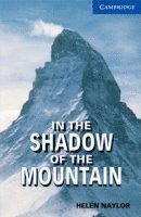 In the Shadow of the Mountain Level 5