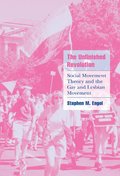 The Unfinished Revolution: Social Movement Theory and the Gay and Lesbian Movement