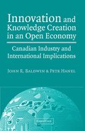 Innovation and Knowledge Creation in an Open Economy