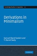 Derivations in Minimalism
