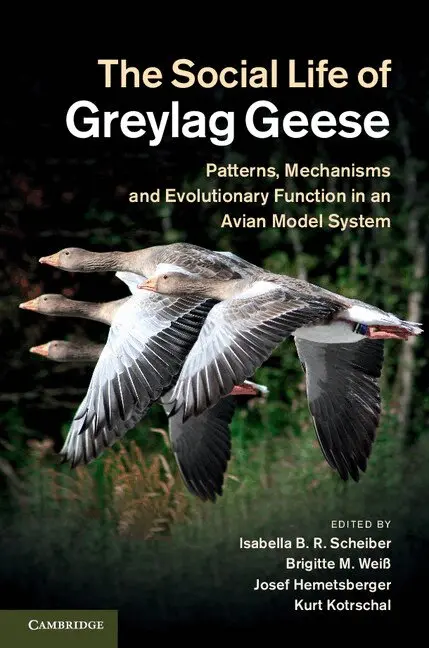 Isabella B. R. Scheiber, Brigitte M. Weiß, Josef Hemetsberger, Kurt Kotrschal - The Social Life of Greylag Geese, Inbunden. Tillgänglighet: Lägg i varukorg