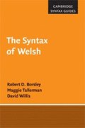 Syntax of Welsh