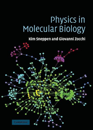 Physics in Molecular Biology av Kim Sneppen, Giovanni Zocchi, Kim Sneppen, Giovanni Zocchi