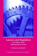 Lawyers and Regulation