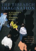 The Research Imagination
