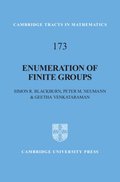 Enumeration of Finite Groups