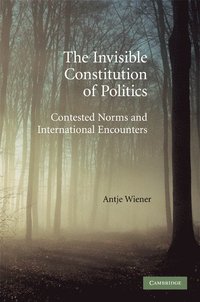 The Invisible Constitution of Politics